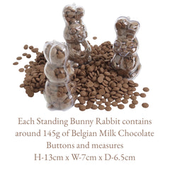 Standing Bunny